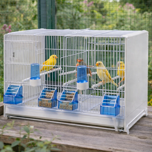 Bird Cages