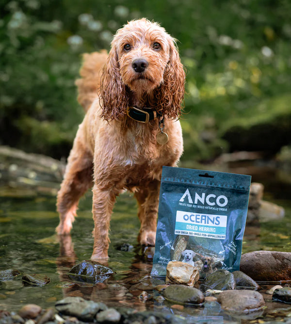 Anco Oceans Dried Herring – 10 Pack Dog Treat