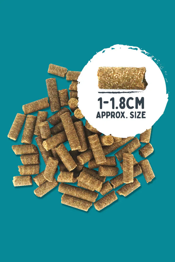 Wilsons Turkey & Duck Premium British Cold Pressed Dog Food 2kg – Grain Free & Chicken Free