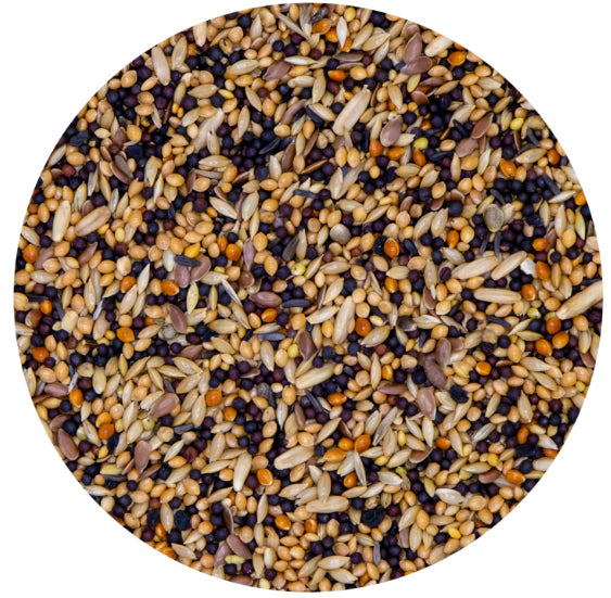 Vaesen – Universal Aviary Bird Seed– 42