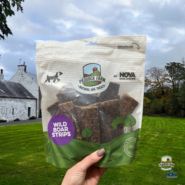 100% Boar Strips – Natural, High-Protein Dog Treats (500g)