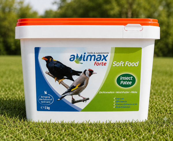 Insect Patee Soft Food