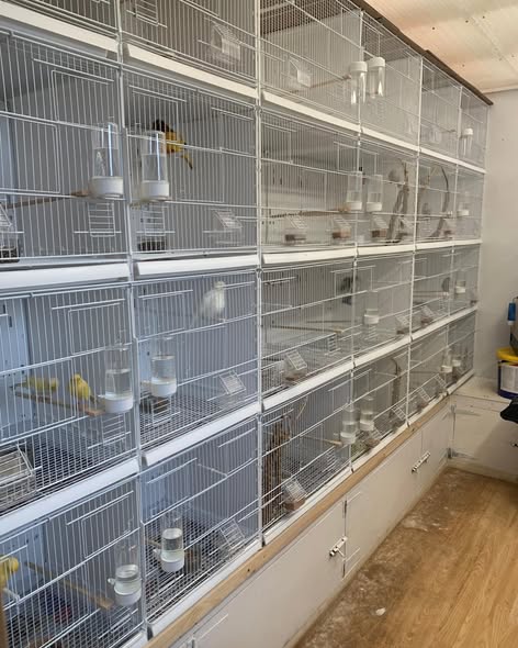 Wire Double Breeding Cage Positano 2GR 90cm or 120cm