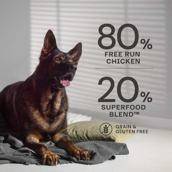 Free Run Chicken Dry Dog Food