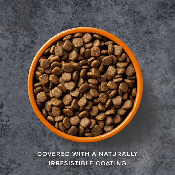 Free Run Chicken Dry Dog Food