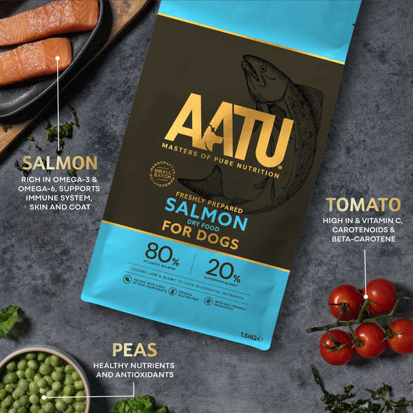 Salmon Dry Dog Food