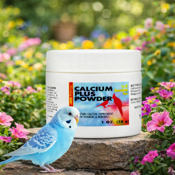 Morning Bird Calcium Plus Powder for Birds 1 oz – Calcium & Vitamin Supplement for Bone Health