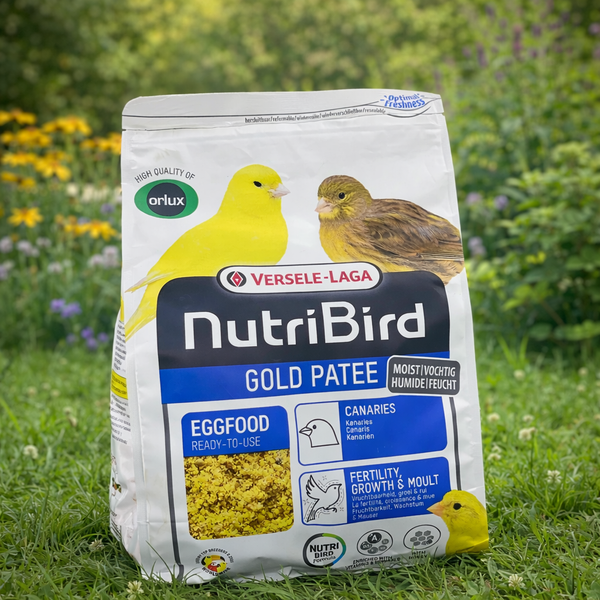 Versele Laga Nutribird - Gold Patee - Moist Egg Food 1KG