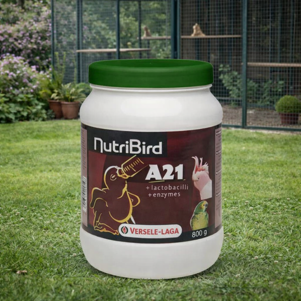Versele-Laga Nutribird A21 Hand-Rearing Bird Food - 800g