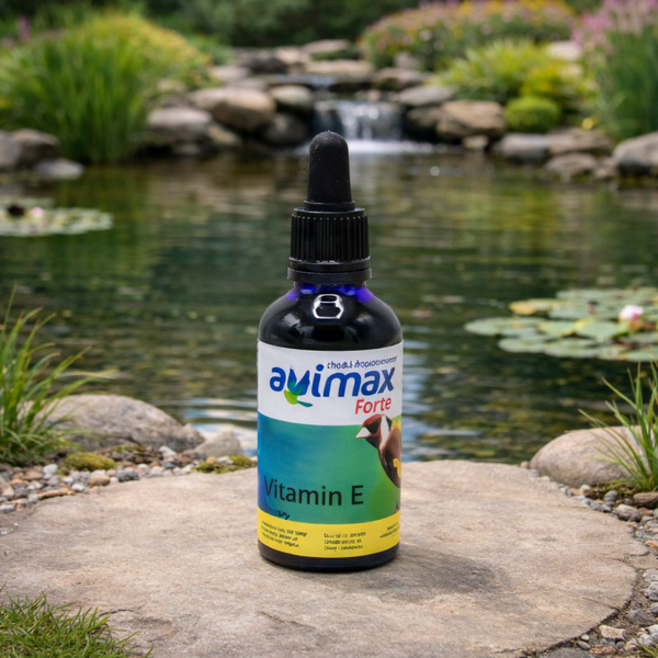 Avimax Forte - Vitamin E + Selenium - Immune System & Fertility Boost 50 Ml