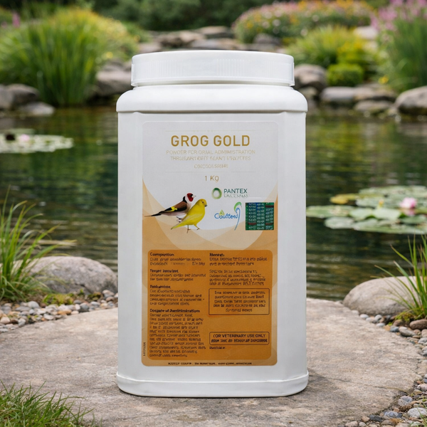 Grog Gold - Pantex Bacteria Treatment & Prevention 1kg Tub