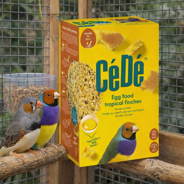 Cede Tropical Exotic Finch Moist Egg Food 1kg x 3 Bundle