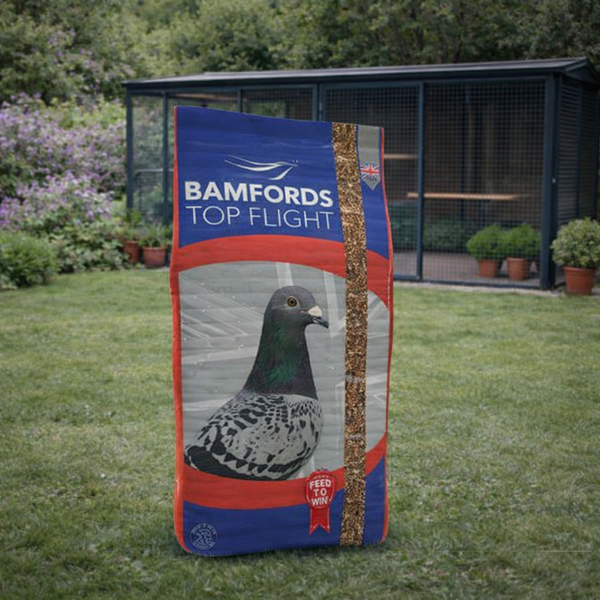 Bamfords Irish Mix Pigeon Seed 20kg