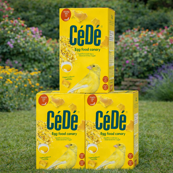 Cede Canary Yellow Moist Egg Food 1kg x 3 Bundle