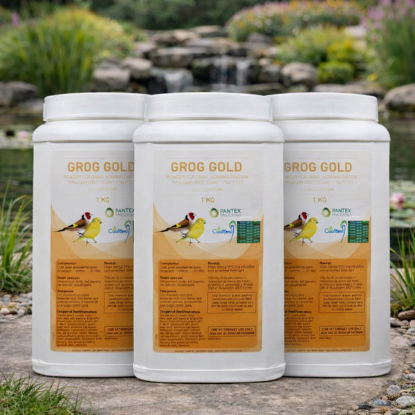 Grog Gold - Pantex Bacteria Treatment & Prevention 1kg Tub x 3 Bundle