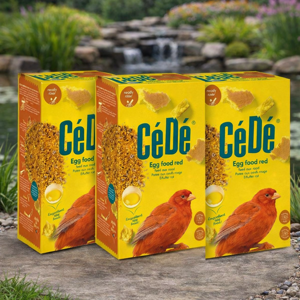 Cede Red Canary Moist Egg Food 1kg x 3 Bundle