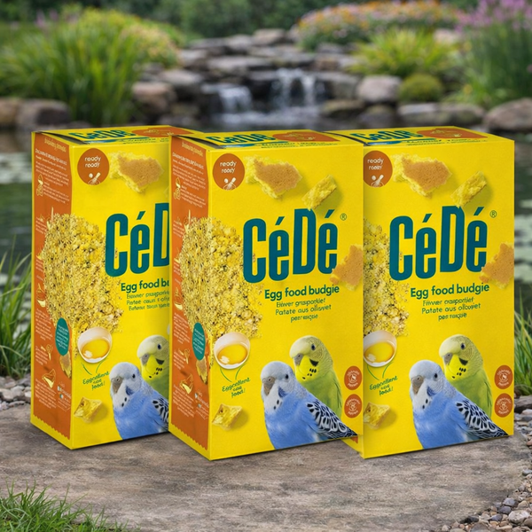 Cede Budgie Moist Egg Food 1kg x 3 Bundle