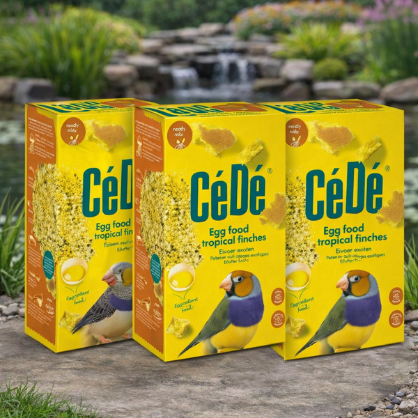 Cede Tropical Exotic Finch Moist Egg Food 1kg x 3 Bundle