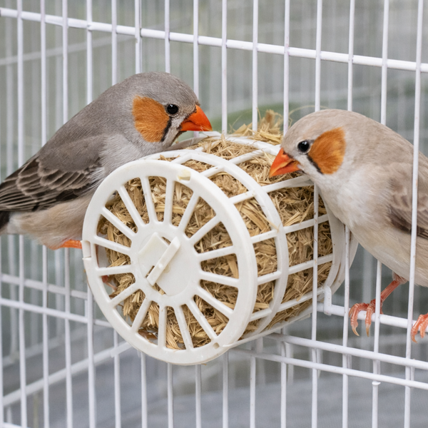 Nesting Material Holder Full Jute - Pack of 5 with Jute 1kg