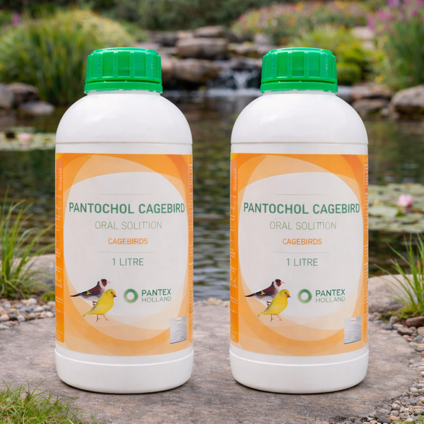 Pantochol Cagebird Bundle - Pantex Kidney, Liver & Nervous System Protection In Birds - 100ml (Copy)