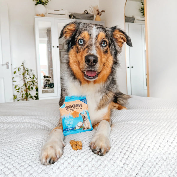 Soopa - Healthy Bites Dog Treats