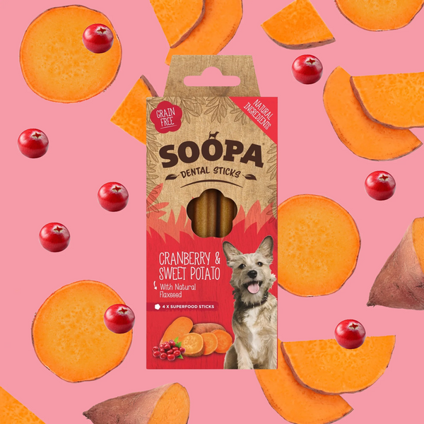 Soopa Dental Sticks - Superfood Dog Treats