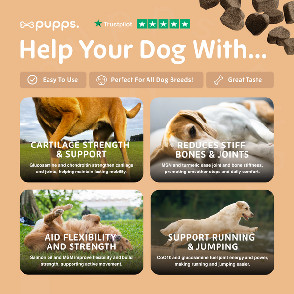 Hip & Joint Treats for Dogs & Puppies