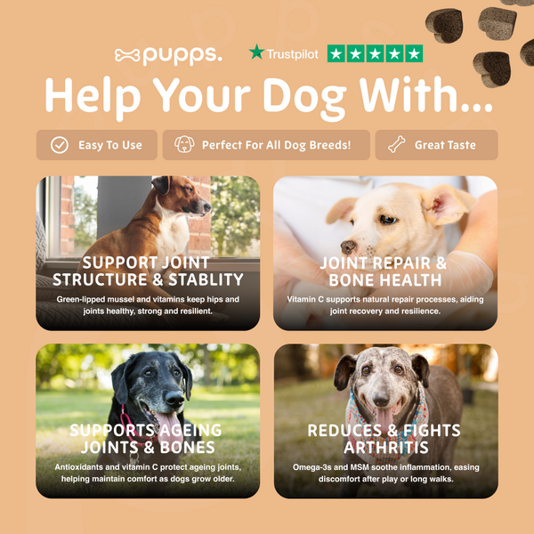 Hip & Joint Treats for Dogs & Puppies