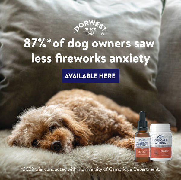 Dorwest Valerian Compound For Dogs And Cats 30ml