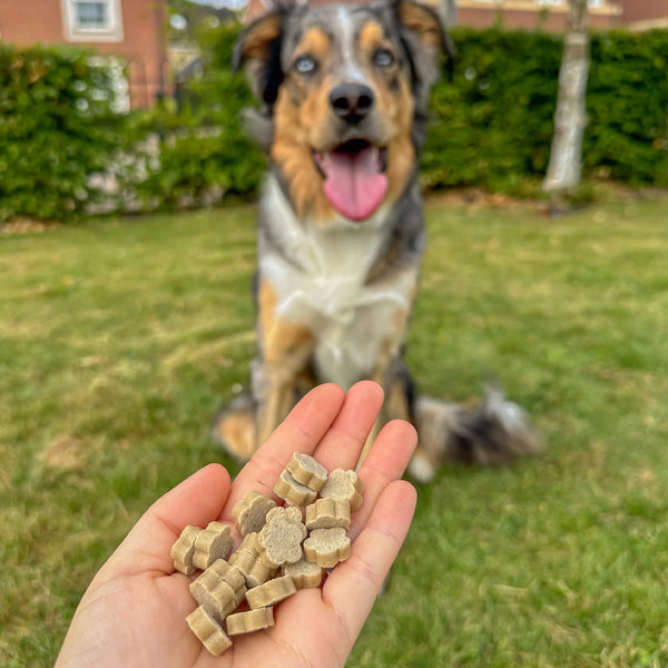 Soopa - Healthy Bites Dog Treats