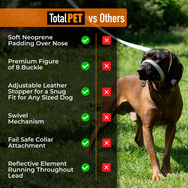 Total Pet Swivel Flat Figure 8 Dog Lead 210cm - RSP £23.99