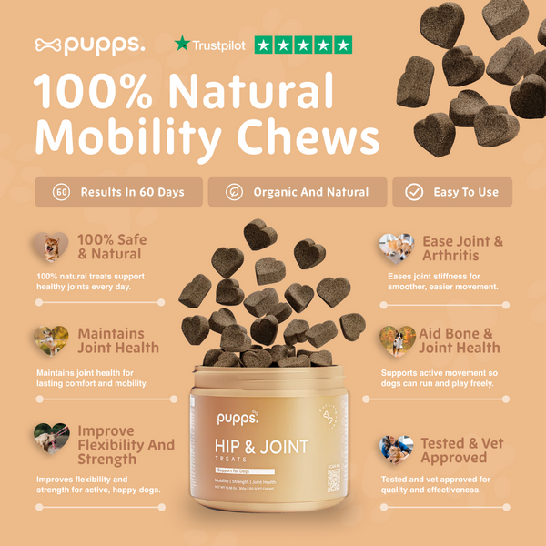 Hip & Joint Treats for Dogs & Puppies