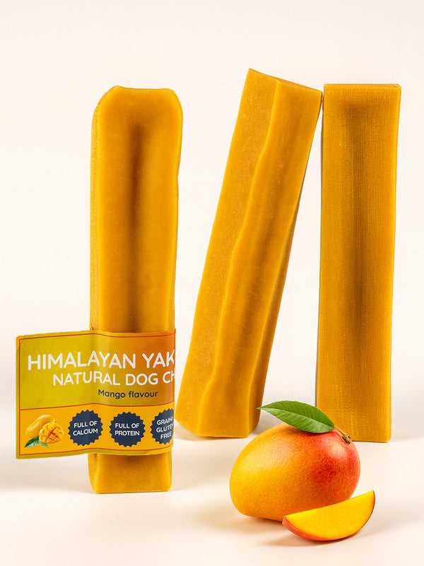 Mango Yak Dog Chew