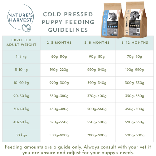 Cold Pressed Chicken and Sweet Potato 3KG Hypoallergenic Dog Food - Raw Made Easy