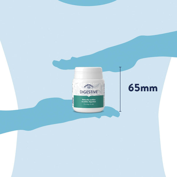 Dorwest Digestive Tablets For Dogs And Cats