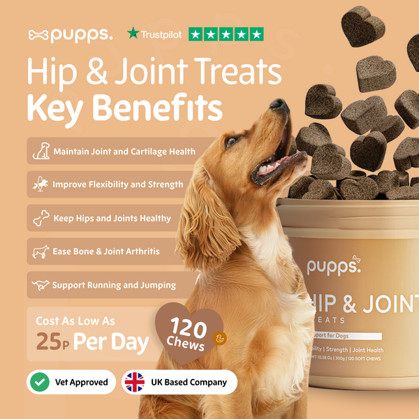Hip & Joint Treats for Dogs & Puppies
