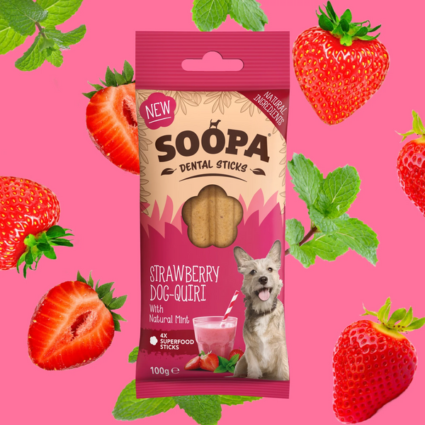 Soopa Dental Sticks - Superfood Dog Treats