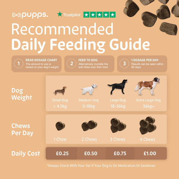 Hip & Joint Treats for Dogs & Puppies