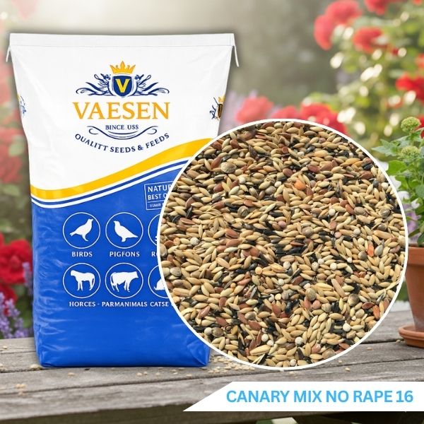 Vaesen - Canary Seed Mix - No Rape - No.16