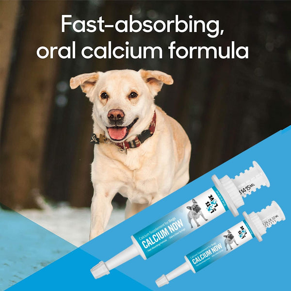 Calcium Now Whelping Calcium Paste for Dogs (15 ml, Vanilla) – Pack of 2 | Breeders Friendly