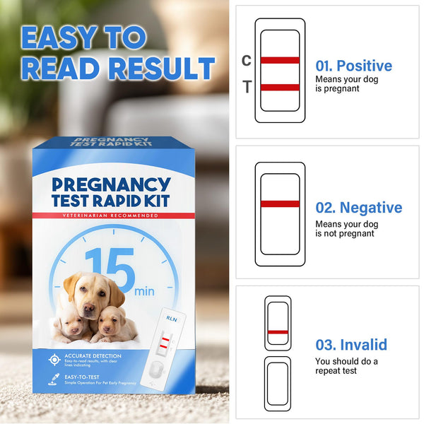 Dog Pregnancy Test Kit at Home – 15-Minute Results, High Accuracy