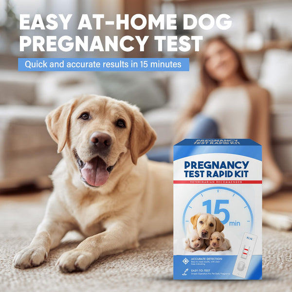 Dog Pregnancy Test Kit at Home – 15-Minute Results, High Accuracy