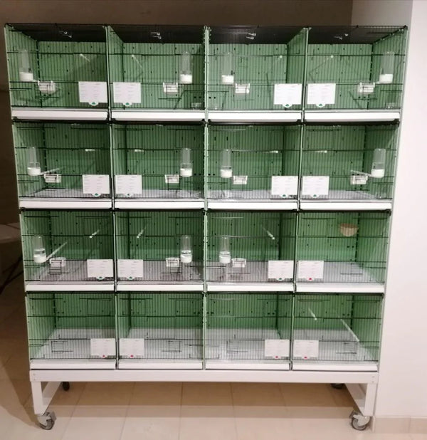 Wire Double Breeding Cage Portofino 2Gr