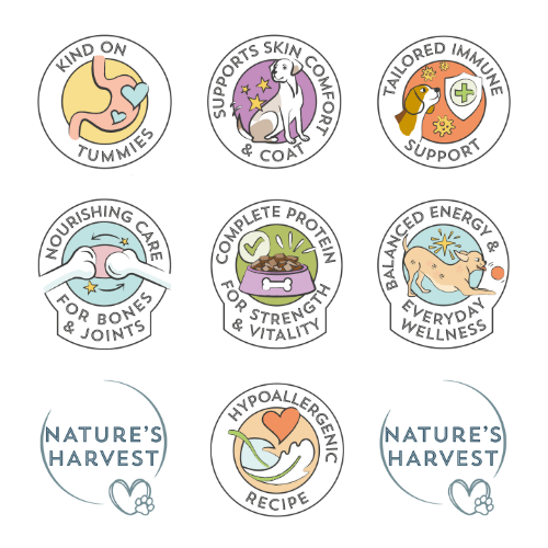 Chicken & Vegetables with Brown Rice Wet Dog Food - Adult