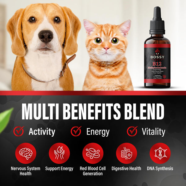 Vitamin B12 for Dogs & Cats – Vet-Formulated Methylcobalamin Drops