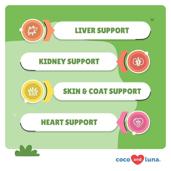 Milk Thistle for Dogs – Liver & Kidney Support (120 Chewables)