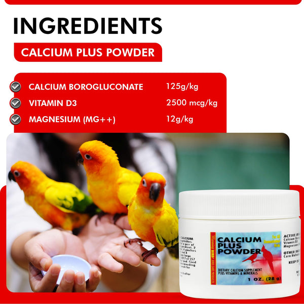Morning Bird Calcium Plus Powder for Birds 1 oz – Calcium & Vitamin Supplement for Bone Health
