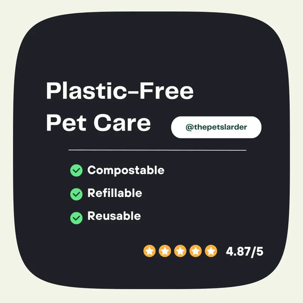 Pumpkin Powder for Dogs: Digestion Aid