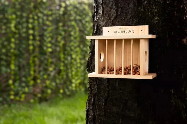 Hanging Wooden Bird Squirrel Feeder Wildlife Jail Feeding Station