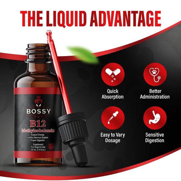 Vitamin B12 for Dogs & Cats – Vet-Formulated Methylcobalamin Drops